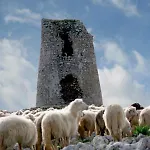 Farma Masseria Autigne Otranto