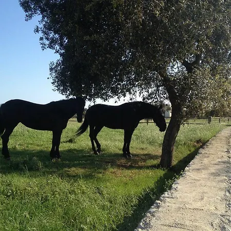 Masseria Autigne * 오트란토
