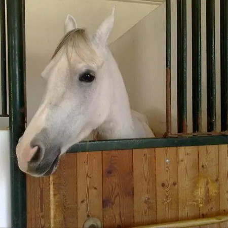 Alloggio per agriturismo Masseria Autigne