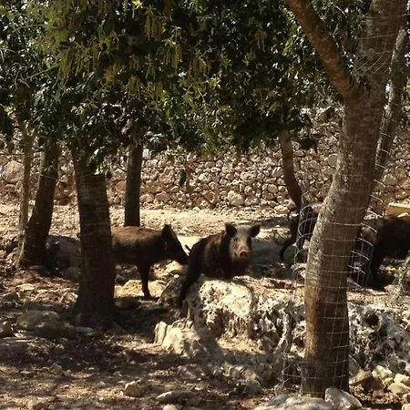 Alloggio per agriturismo Masseria Autigne *
