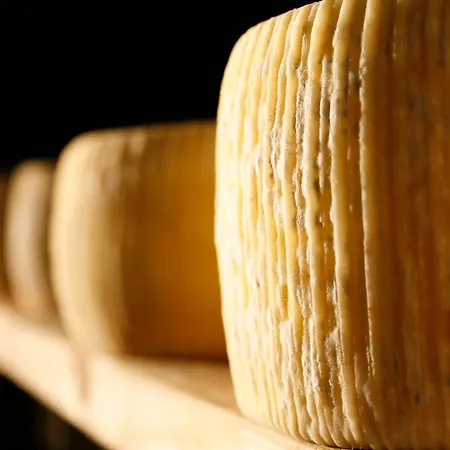 Alloggio per agriturismo Masseria Autigne