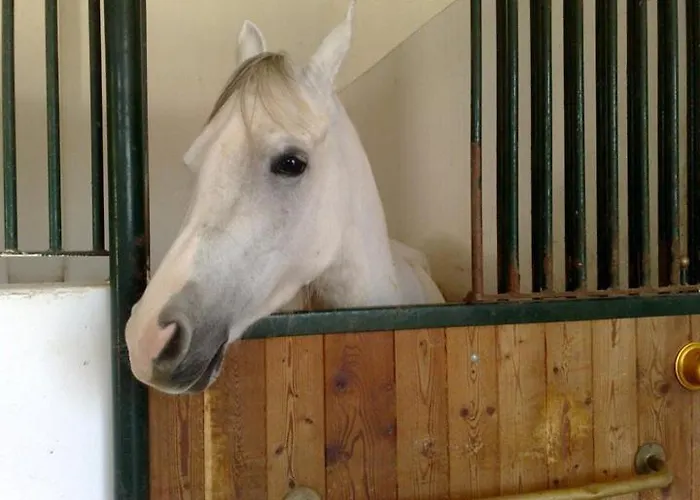 Bauernhof Masseria Autigne